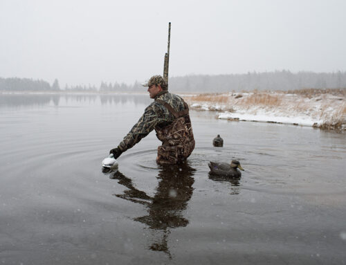 Delta Waterfowl Applauds Removal of Sunday Hunting Ban on Prince Edward Island