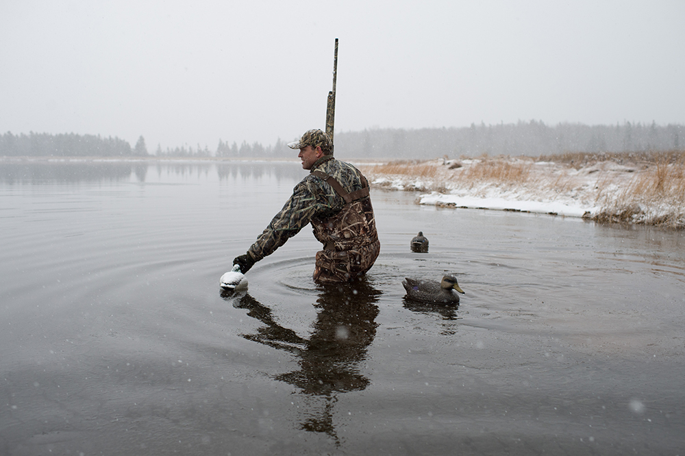 A duck hunter checks a decoy while on a hunt for black ducks in Prince Edward Island.