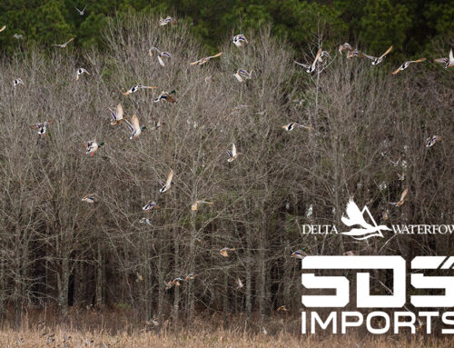 Delta Waterfowl Welcomes SDS Imports as a New ‘Champion of Delta’ Corporate Sponsor