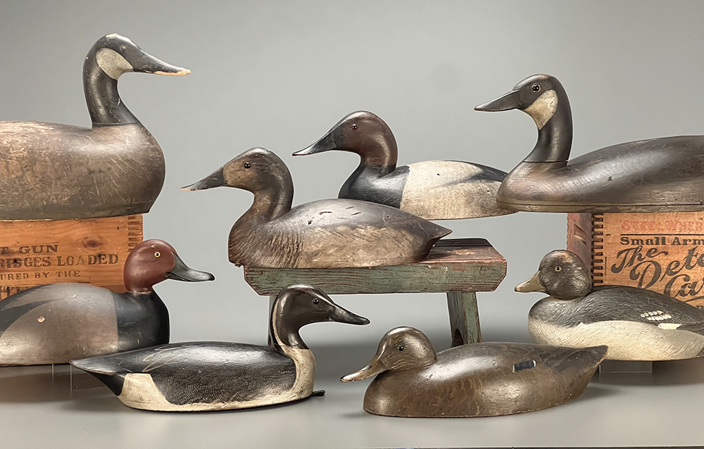 A few of the decoys from George Secor's decoy collection can be seen on display.