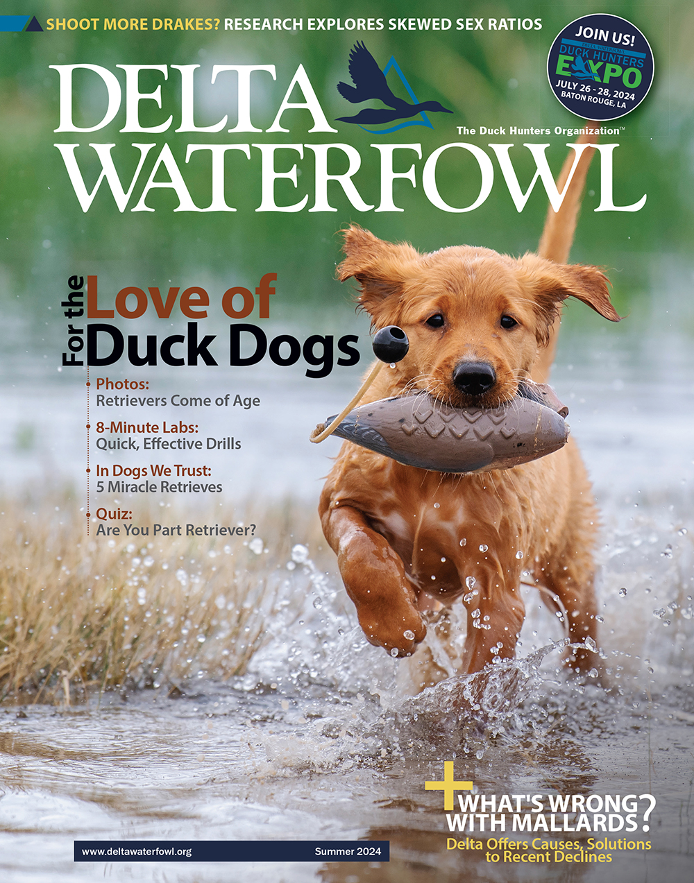 The cover of the Summer 2024 issue of award-winning Delta Waterfowl magazine can be seen.