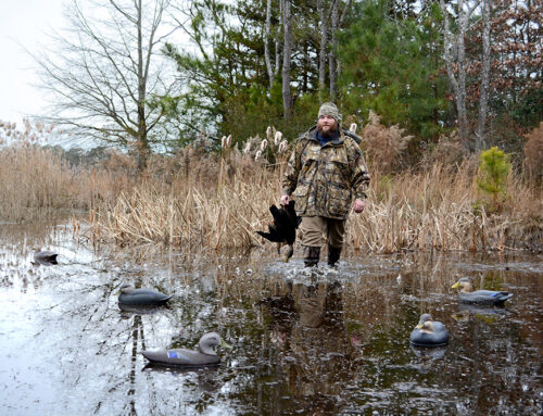 Delta Waterfowl Celebrates Signing of Law to Allow Sunday Waterfowl Hunting in Delaware