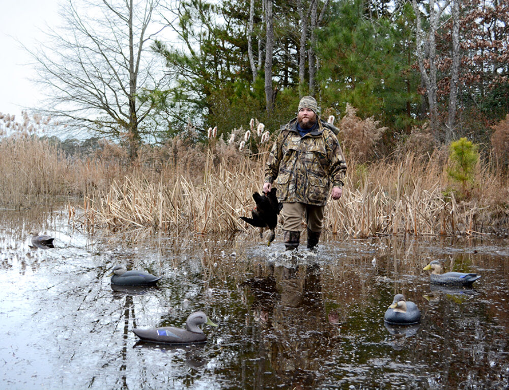 Delta Waterfowl Applauds Progress on U.S. Farm Bill - Delta Waterfowl