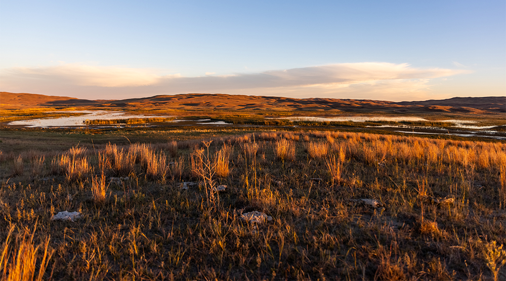 Vigorous Duck Production, HunteR3, and other Delta-supported efforts continue across the United States and Canada to protect the land and the traditions of duck hunters in it.