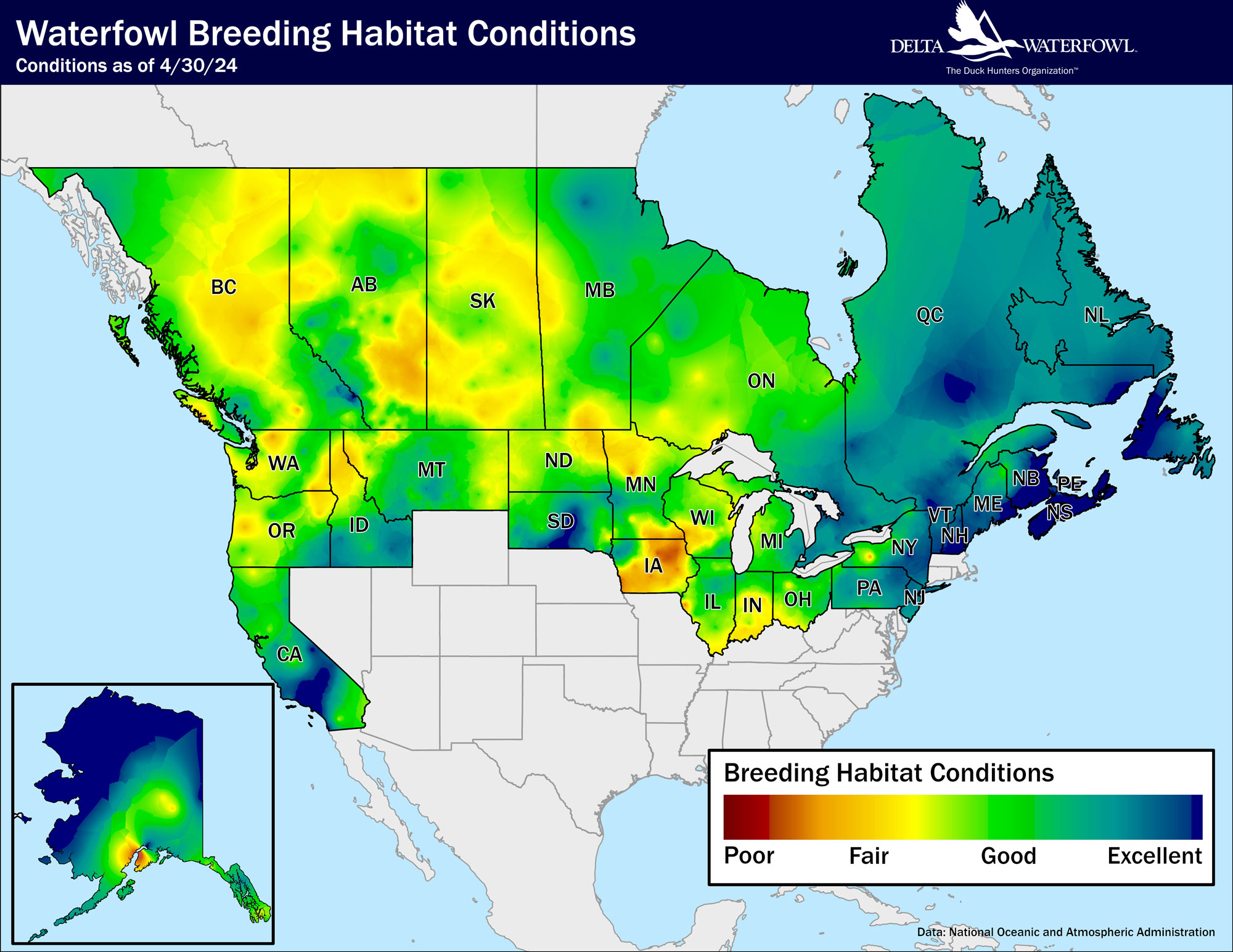 Duck breeding conditions moisture map for April 30, 2024. Map shows that conditions are good in much of the prairie pothole region with drought still in Iowa and southern Minnesota.