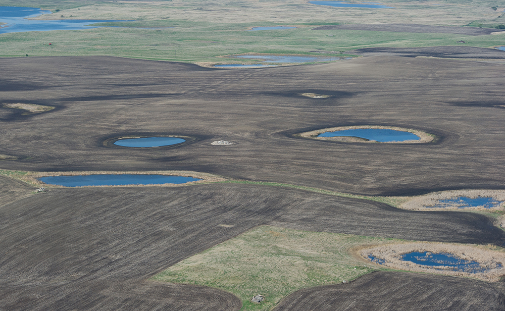 An aerial shot of critical wetlands in the prairie pothole region can be seen. These small wetlands are distinctly important for breeding ducks. Delta Waterfowl and Cabela's are working to protect these vulnerable landscapes.