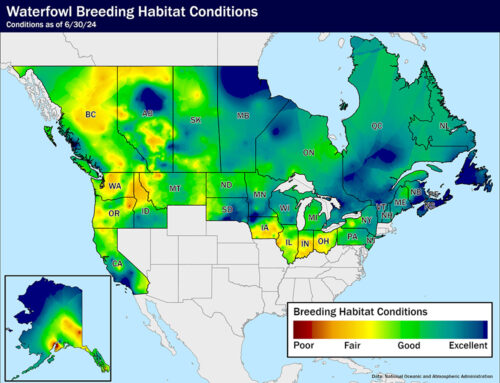 Waterfowl Breeding Habitat Conditions As of June 30, 2024
