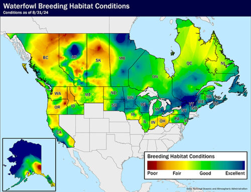 Waterfowl Breeding Habitat Conditions As of Aug. 31, 2024