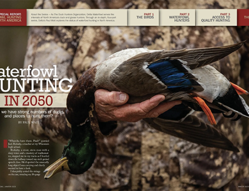 Two Delta Waterfowl Magazine Articles by Wait Take Home First Place Accolades at AGLOW Conference