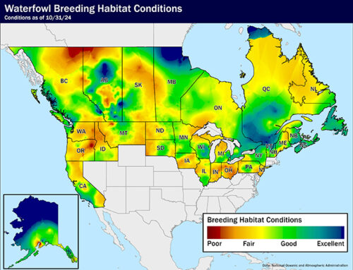 Waterfowl Breeding Habitat Conditions