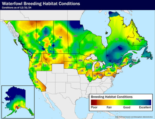 Waterfowl Breeding Habitat Conditions As of December 31, 2024